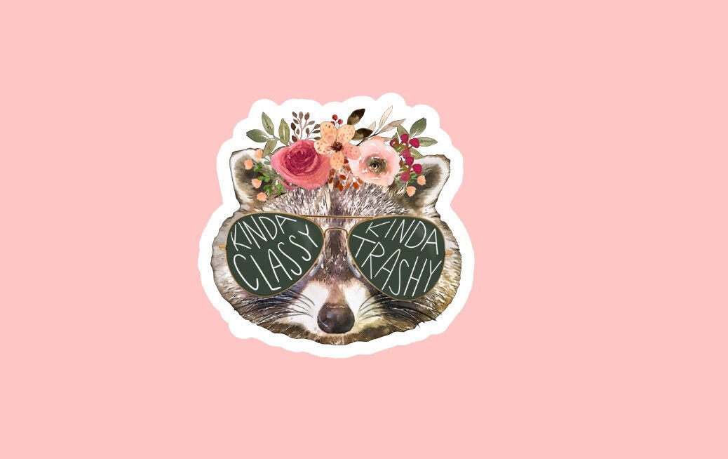 Kinda Classy Kinda Trashy Sticker ~ Waterproof ~ Raccoon ~ Cute ~ Graphic ~ Floral ~ Funny ~ Accurate ~ Laptop ~ Water Bottle ~ Decal